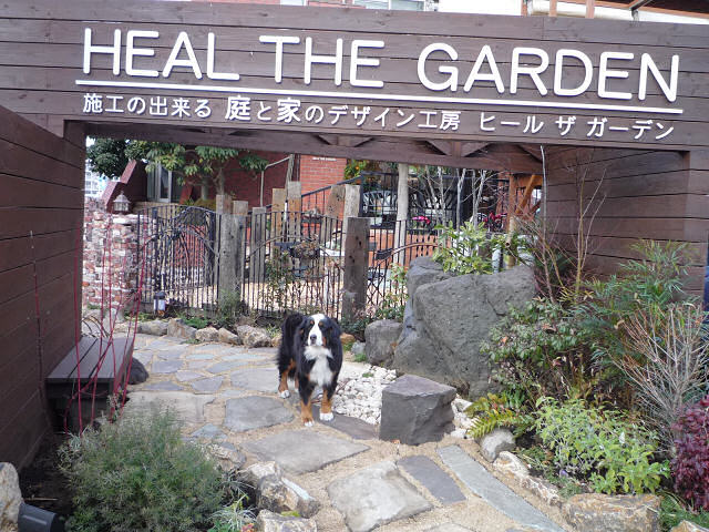 ヒールザガーデンカフェ Heal The Garden Cafe