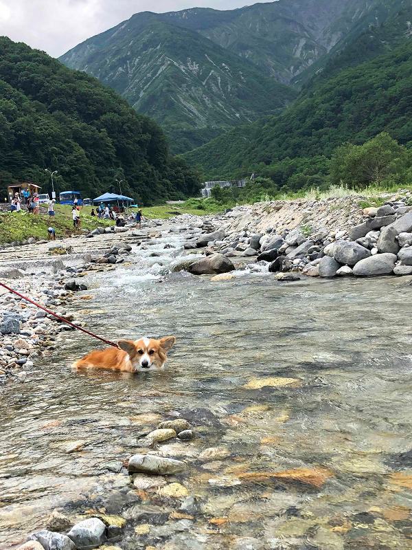 白馬47マウンテンスポーツパーク